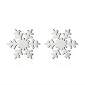 Stainless Steel Silver Snowflake Stud Earrings